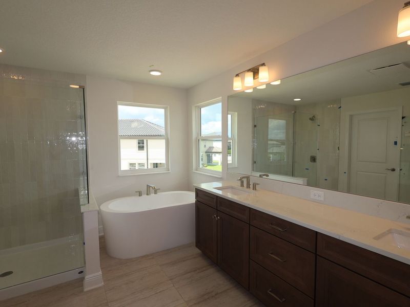 Owner's Bathroom