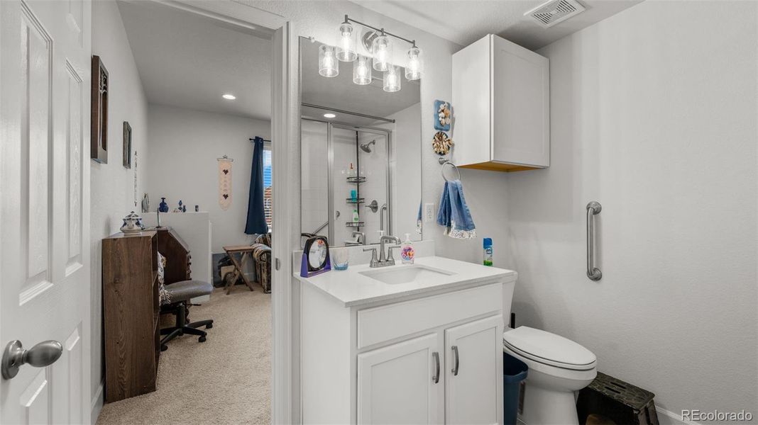 Basement Bathroom Handicap Accessible