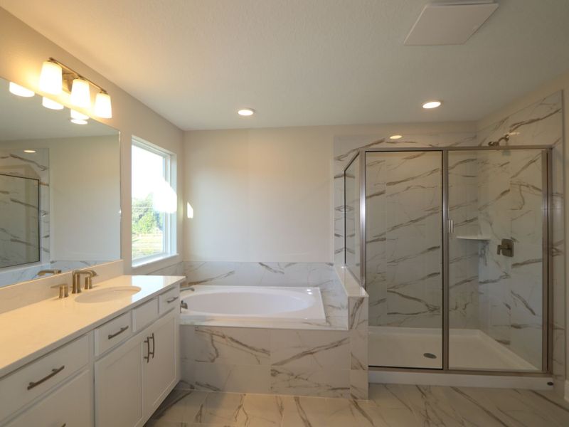 Owner's Bathroom