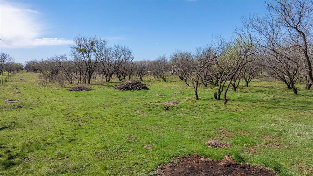 Natural landscape and outdoor views near  in Early (Image 34).