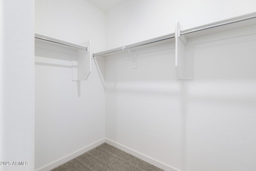 Southwest_Ash_008 Southwest_Ash_008