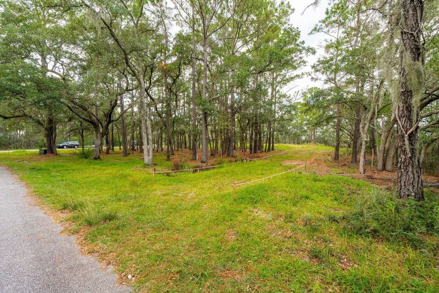 Natural landscape and outdoor views near  in Johns Island (Image 3).
