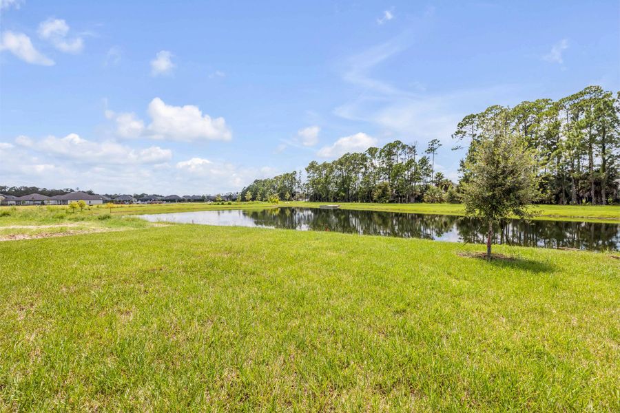 Natural landscape and outdoor views near Ardisia Park in New Smyrna Beach (Image 34). Natural landscape and outdoor views near Ardisia Park in New Smyrna Beach (Image 34).