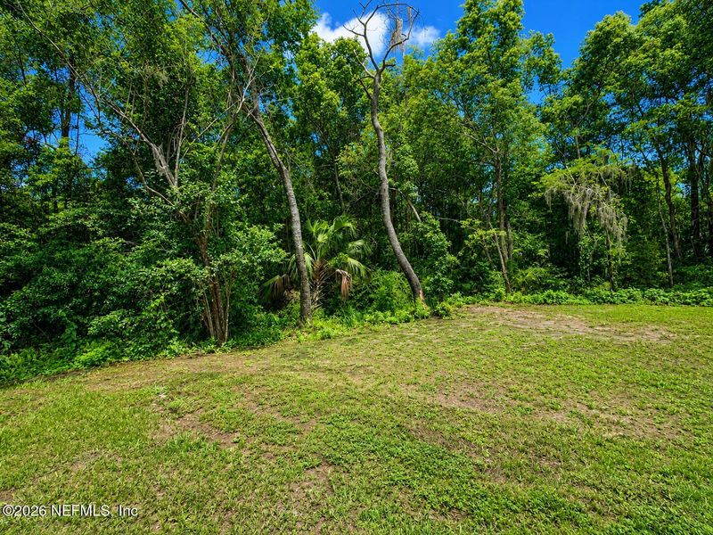 Natural landscape and outdoor views near  in Jacksonville (Image 32).