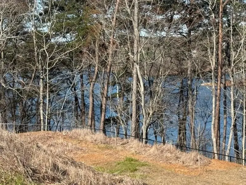Natural landscape and outdoor views near The Bluffs in Canton (Image 4).