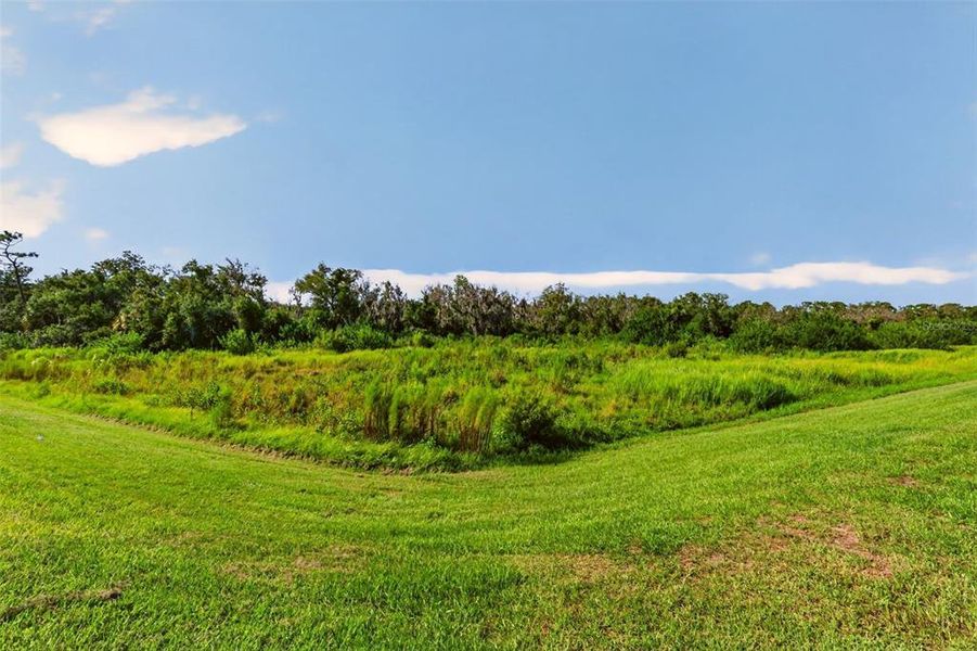 Natural landscape and outdoor views near  in Lakewood Ranch (Image 47).