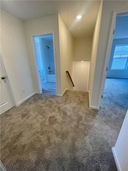 Spacious, unfurnished interior of a new home in Springwood Grove, Central (Image 25).