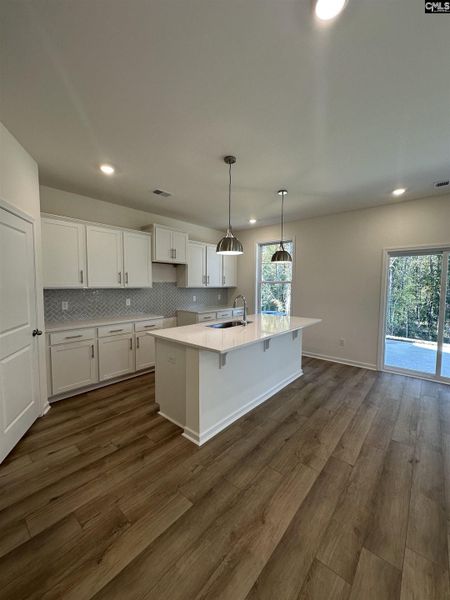 Furnished interior view inside a new home in Boykin Hills, Chapin (Image 3).