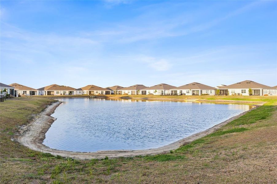 Natural landscape and outdoor views near  in Wesley Chapel (Image 36).