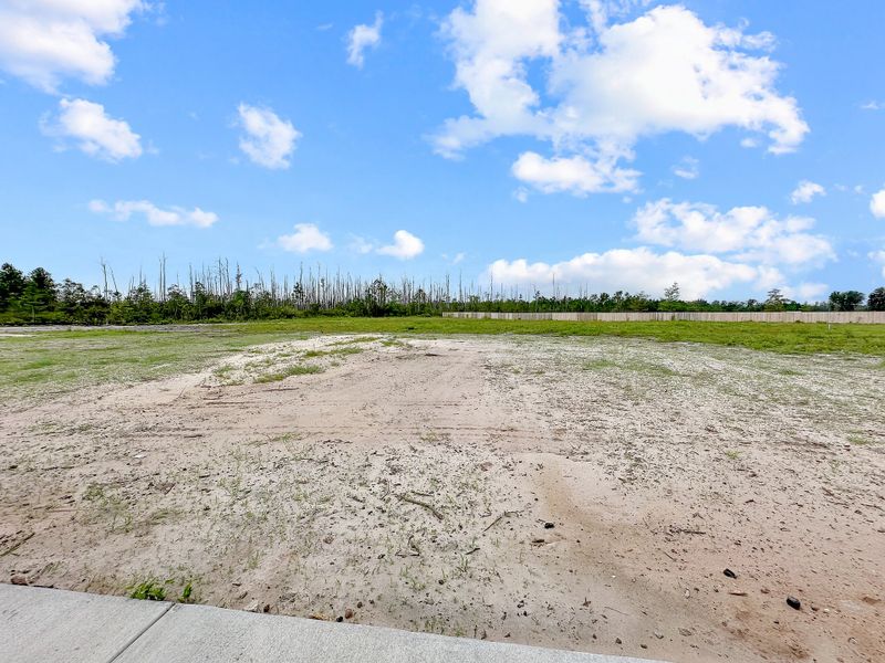 Site preparation for new homesites in Tibet Road at Sassafras, Allenhurst (Image 21).