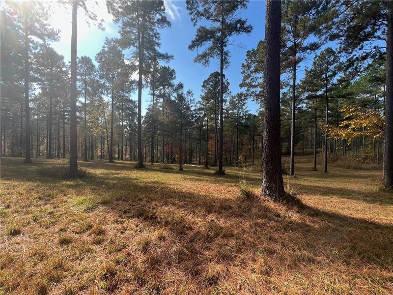 Natural landscape and outdoor views near  in Eatonton (Image 21).