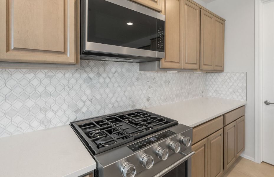 Close-up of interior finishes inside a home in Sun City Anthem at Merrill Ranch, Florence (Image 15).