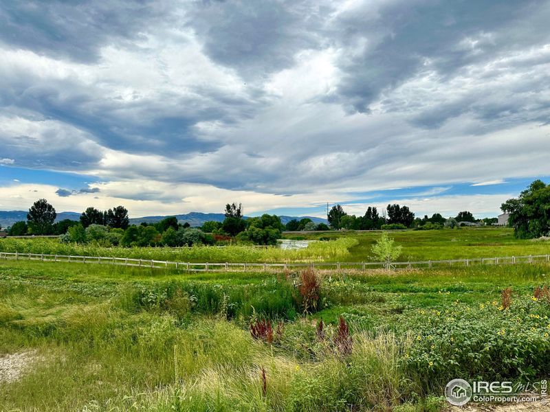 Million dollar views from your own backyard!