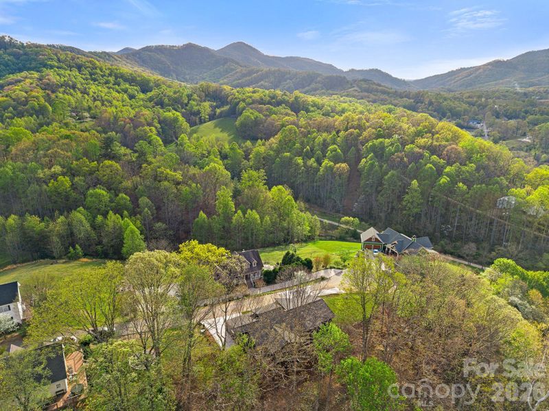 Natural landscape and outdoor views near  in Candler (Image 42).