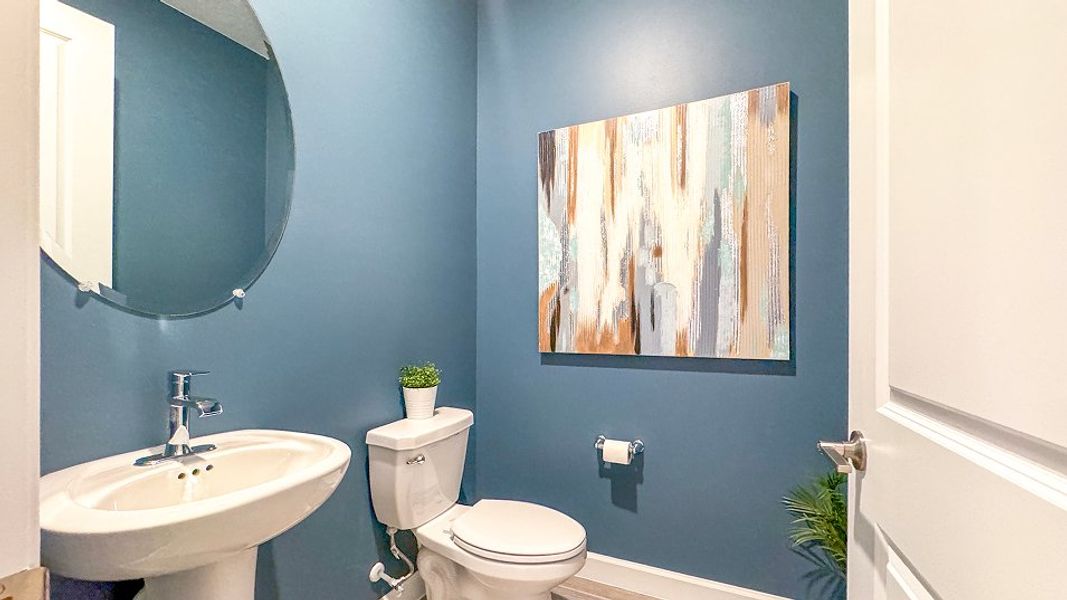 3237 Holly Powder F1