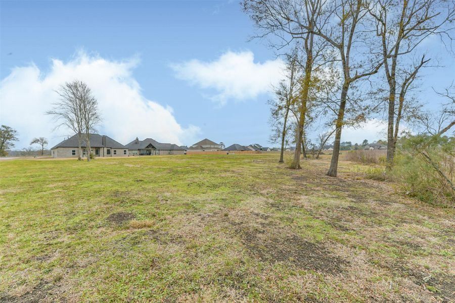 Natural landscape and outdoor views near  in Baytown (Image 37).