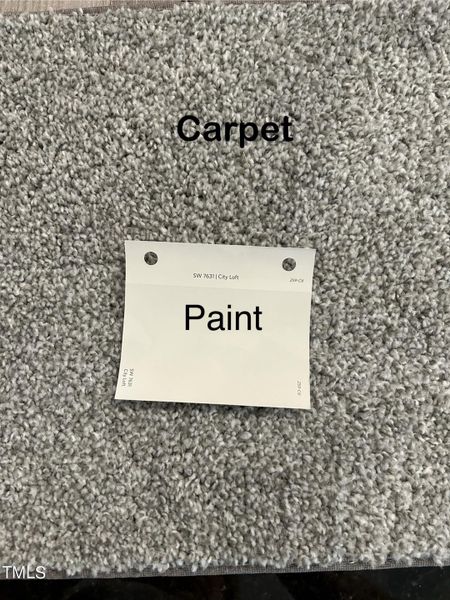 BS40 Carpet and Paint