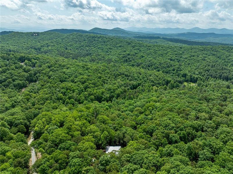 Natural landscape and outdoor views near  in Morganton (Image 33).