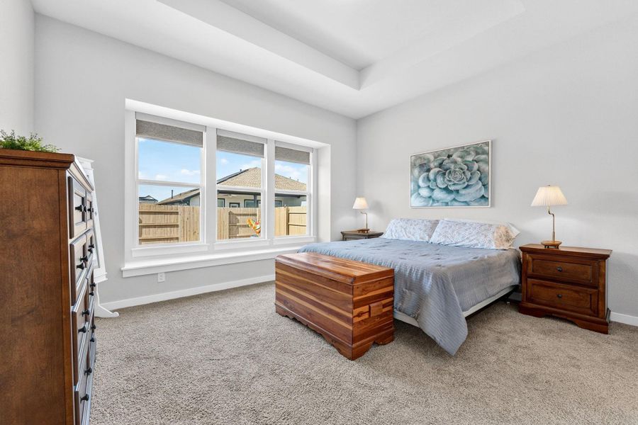 Primary bedroom featuring large windows overlooking the backyard and a raised ceiling. So light and airy!