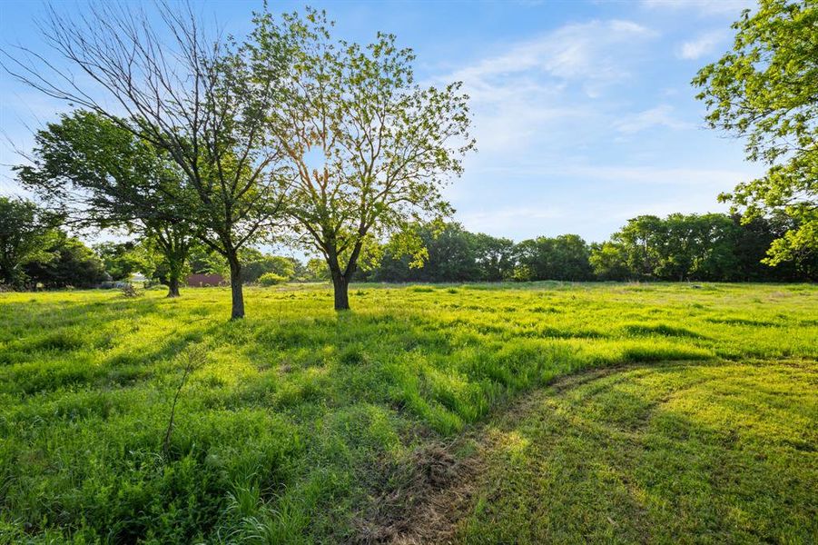 Natural landscape and outdoor views near  in Sunset (Image 13).