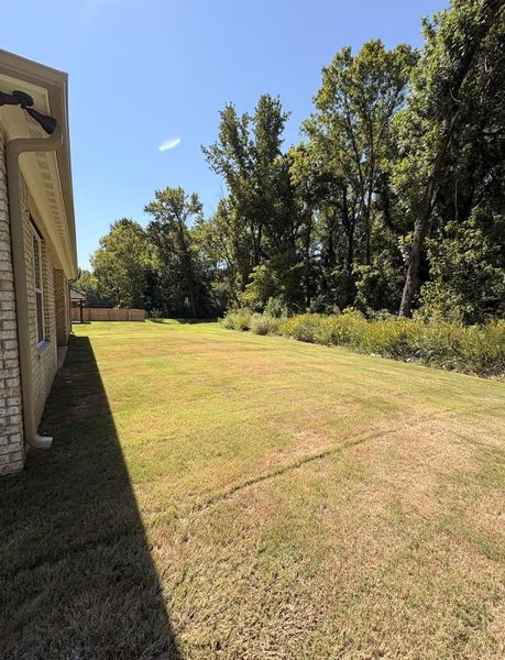 Expansive lawn with mature trees bordering the property