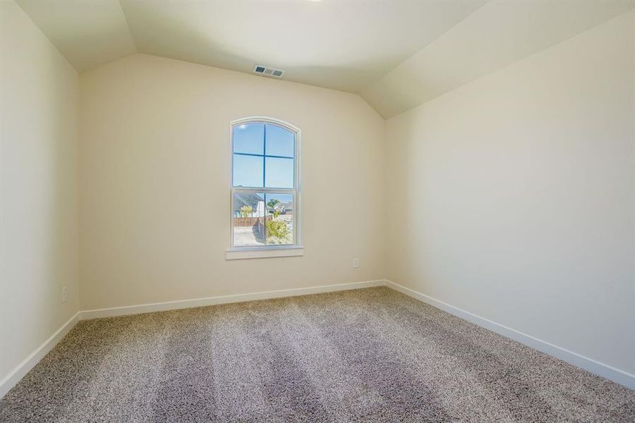 Spare room with carpet floors and vaulted ceiling