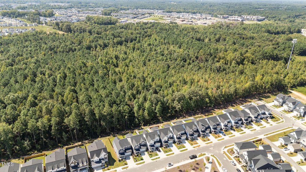 1753 Birdhaven- aerial 1