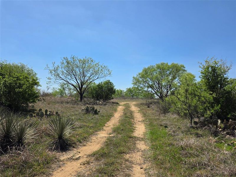 Natural landscape and outdoor views near  in San Saba (Image 34).