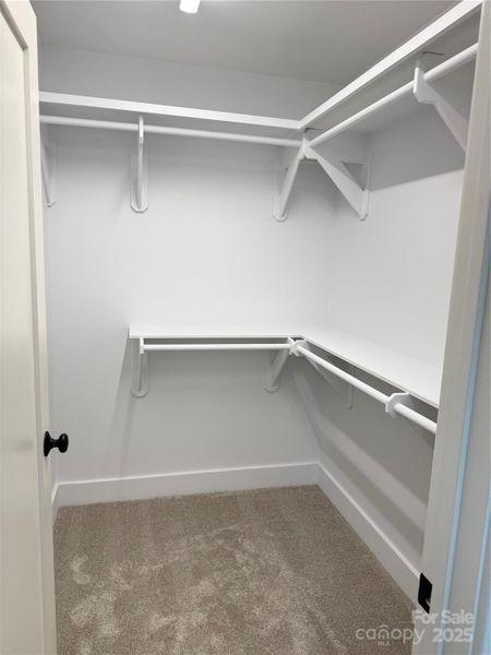 Bedroom #2 Walk in Closet