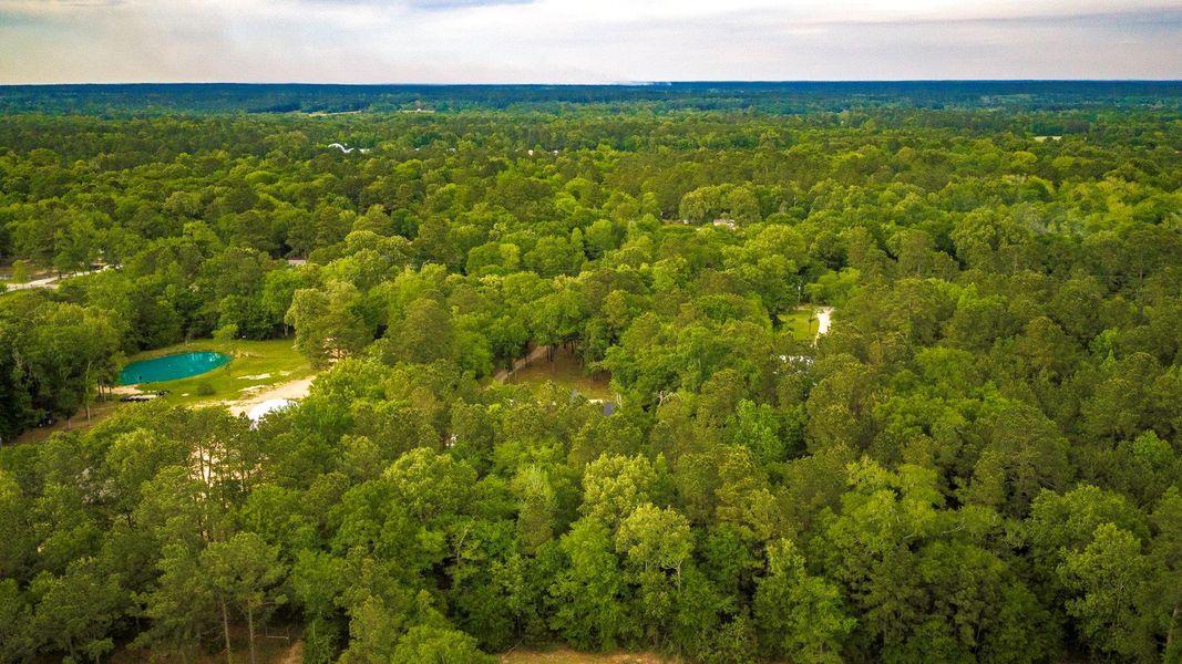 Natural landscape and outdoor views near  in Montgomery (Image 36).