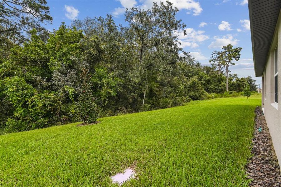 Image 85 of a home in Hidden Ridge.
