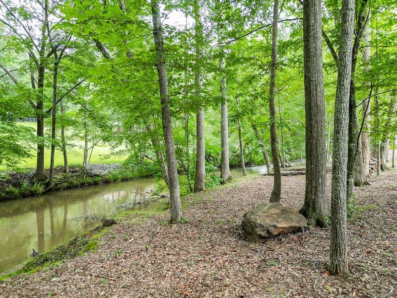 Natural landscape and outdoor views near  in Cumming (Image 57).