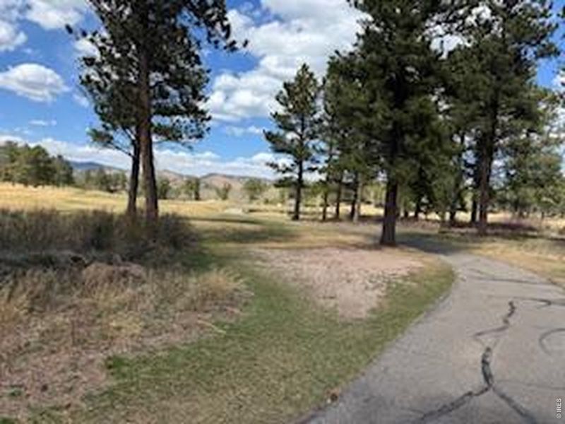 Natural landscape and outdoor views near  in Red Feather Lakes (Image 35).