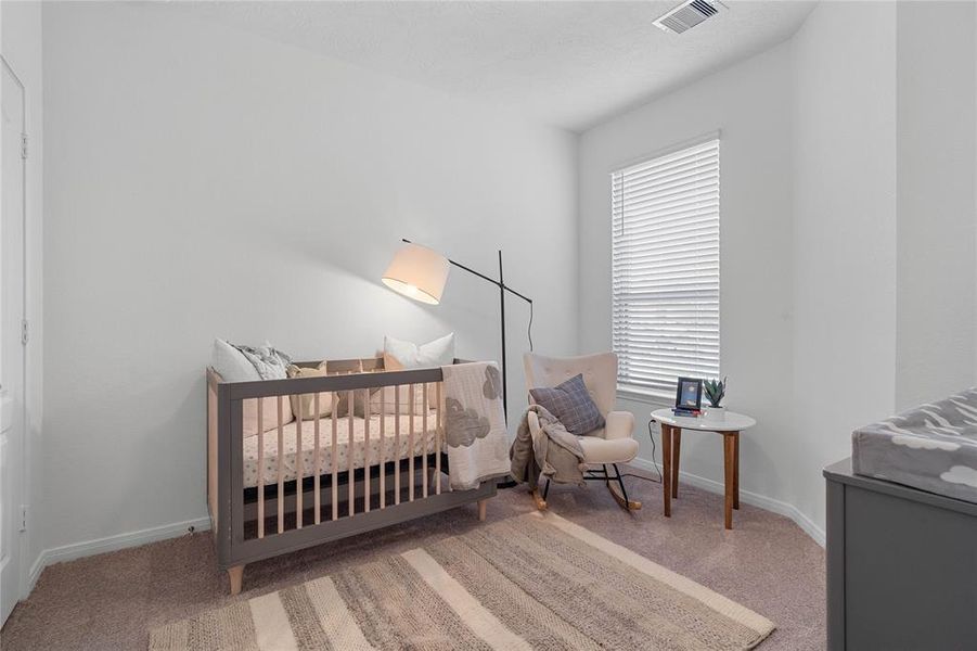 Secondary bedroom features plush carpet, high ceilings, and a large window with privacy blinds.