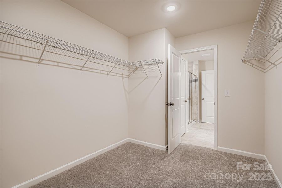 Spacious, unfurnished interior of a new home in Shannon Woods: Walk & Enclave, Maiden (Image 11).