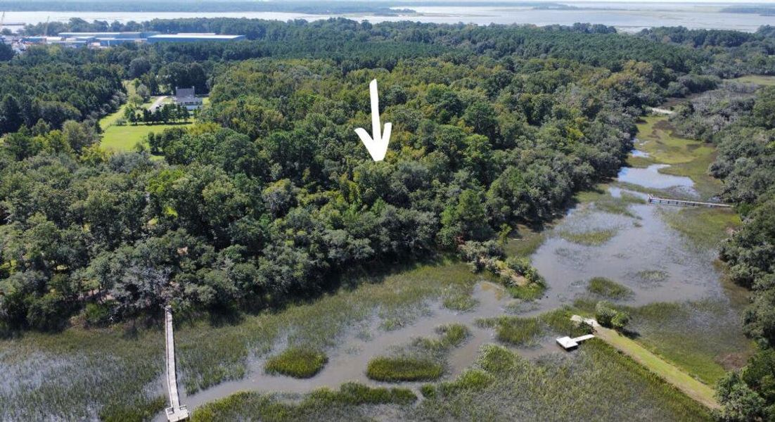 Natural landscape and outdoor views near  in Yonges Island (Image 32).