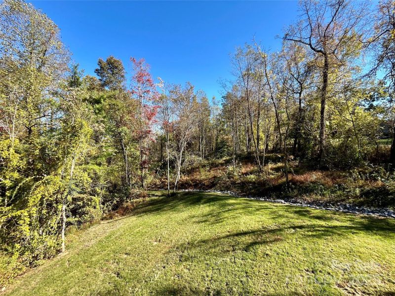 Natural landscape and outdoor views near  in Hendersonville (Image 44).