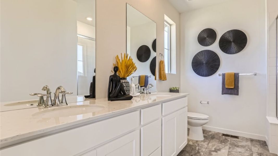 Owners bathroom sinks