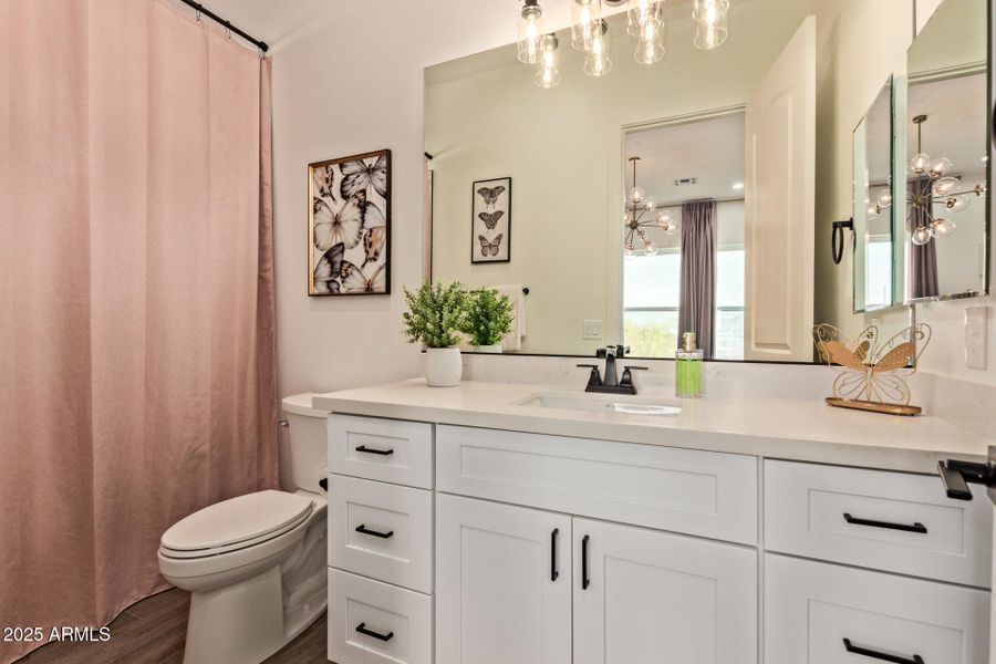 37 - Hummingbird 37 - Hummingbird