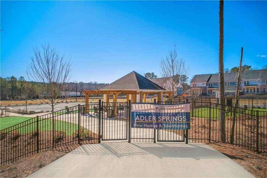 Community amenities in Adler Springs, Powder Springs (Image 17).