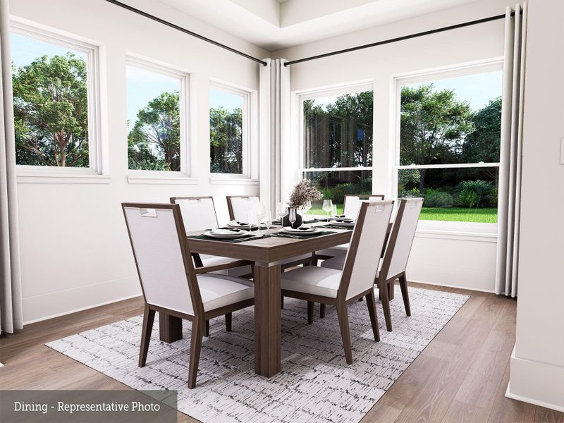 REPRESENTATIVE PHOTO: You will enjoy entertaining family and friends in this spacious Dining area.