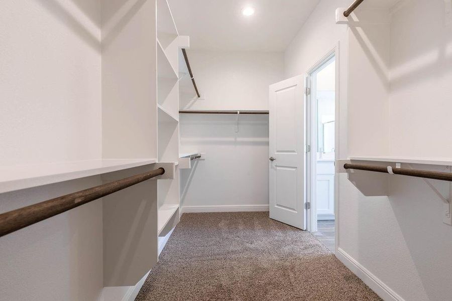 Spacious closet with light carpet Spacious closet with light carpet