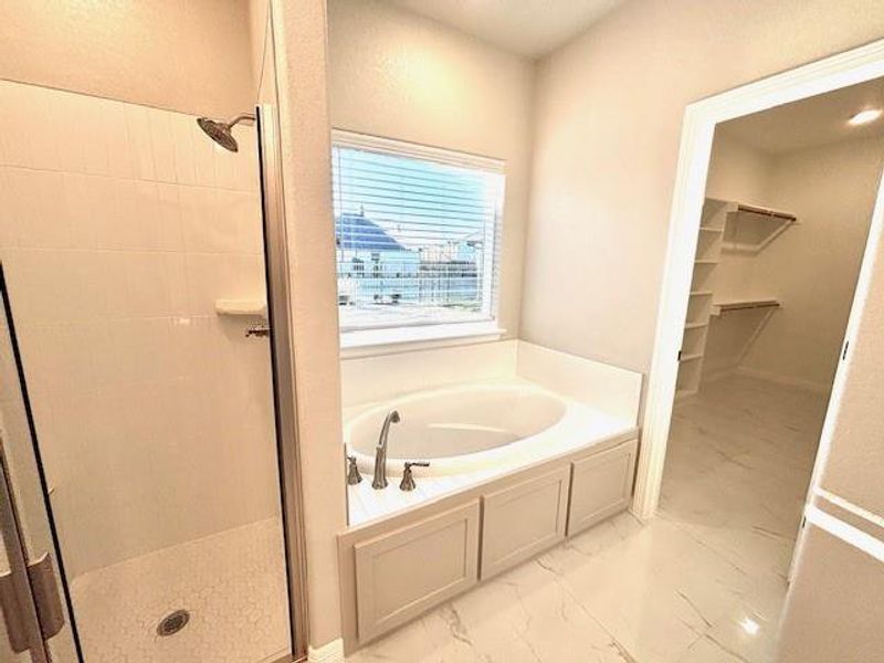 Bathroom with independent shower and bath