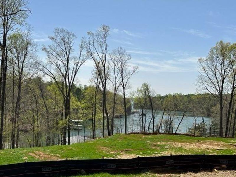 Natural landscape and outdoor views near Long Hollow Landing in Gainesville (Image 53).