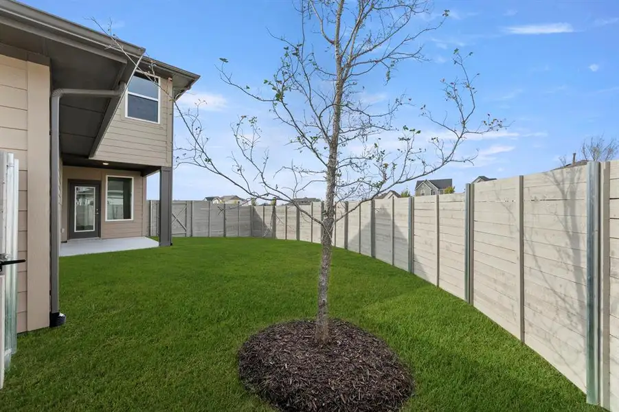 27. 3136 Lenton - Back (2)