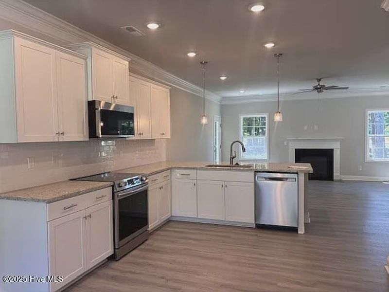 Furnished interior view inside a new home in River Village Square in River Landing, Wallace (Image 4).