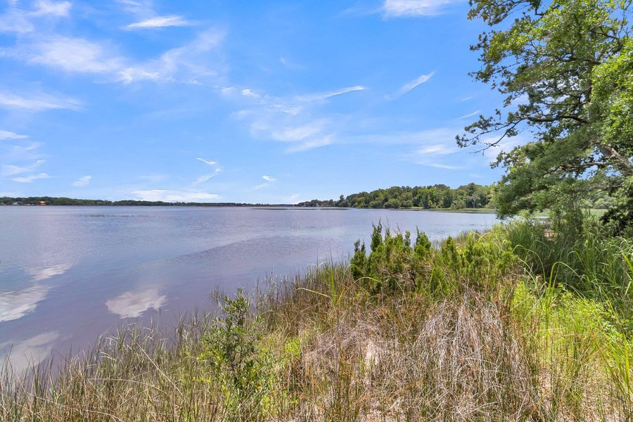 Natural landscape and outdoor views near  in Ravenel (Image 81).