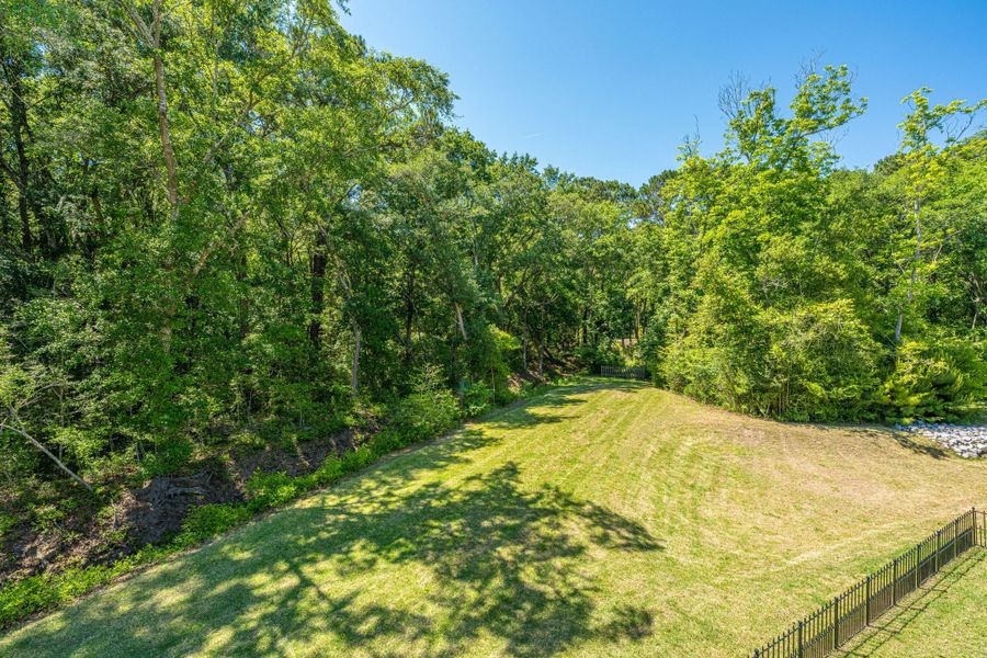 Natural landscape and outdoor views near Overlook at Copahee Sound in Awendaw (Image 55).