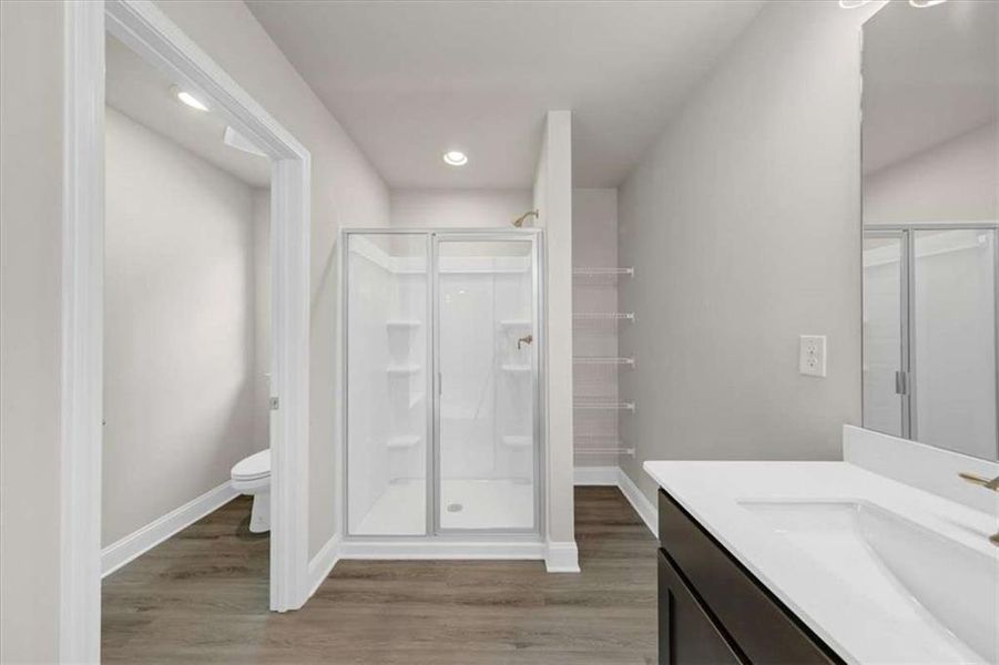 Furnished interior view inside a new home in Scarlett Place, Bowdon (Image 10).