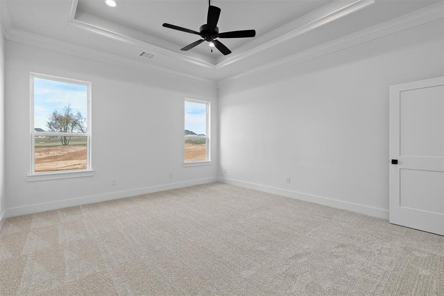 Carpeted spare room featuring a wealth of natural light, a raised ceiling, and ceiling fan